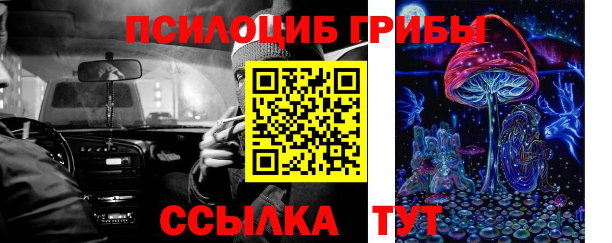 Галлюциногенные грибы мицелий  Вход с VPN  Кольчугино 